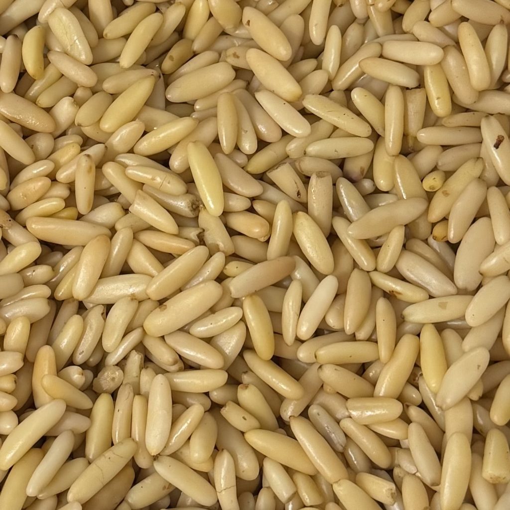 Pignons de pin d’Afghanistan - Qualité premium