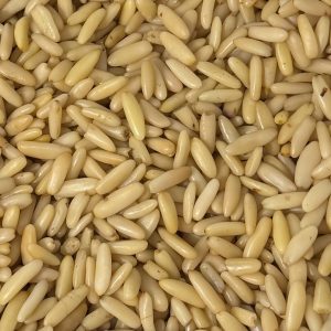 Pignons de pin d’Afghanistan - Qualité premium